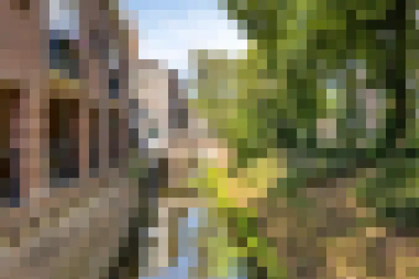 Jan Heinsstraat 24 A 's-Hertogenbosch thumbnail 37