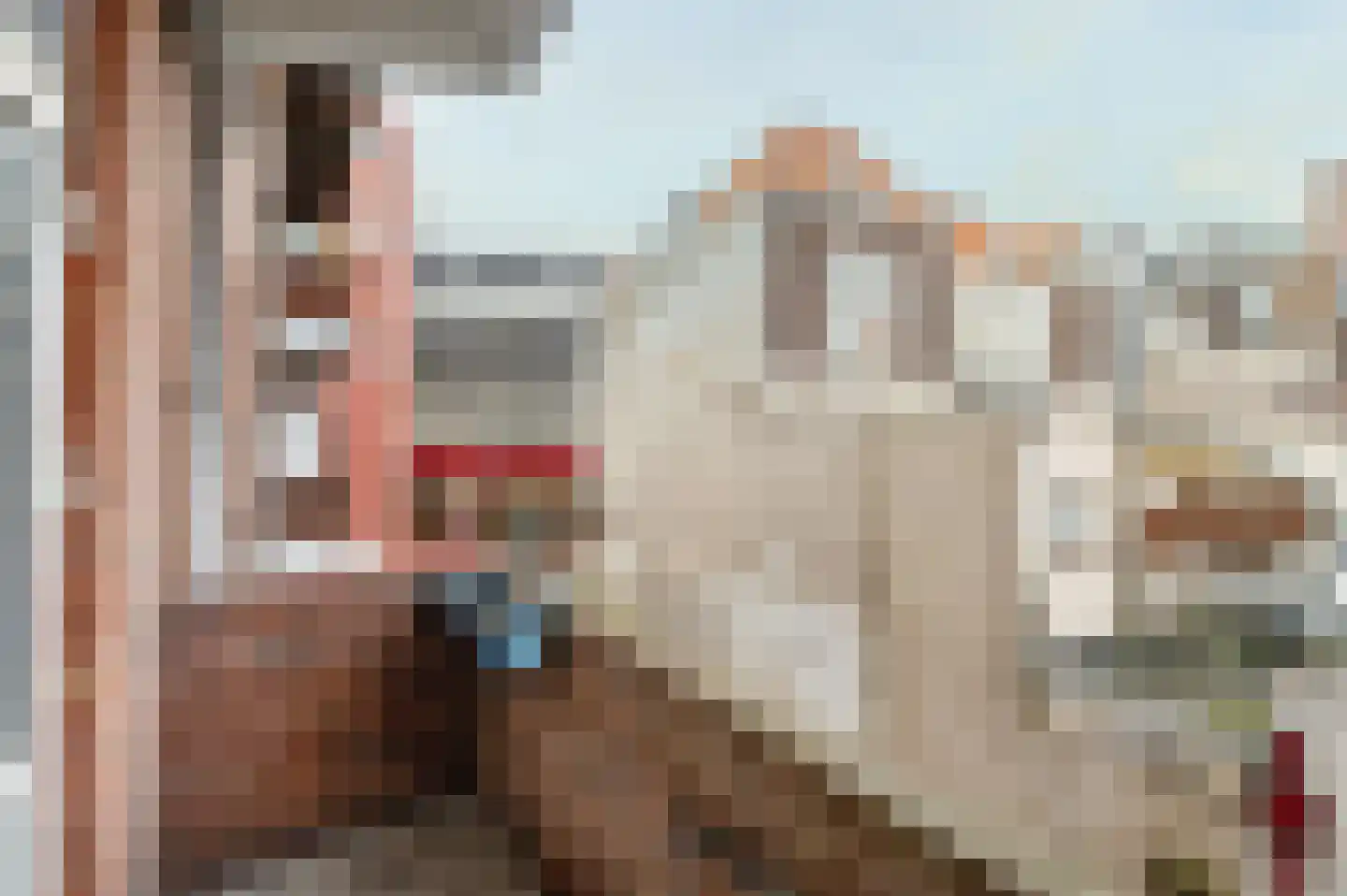 Jan Hendrikstraat 64 Den Haag thumbnail 26