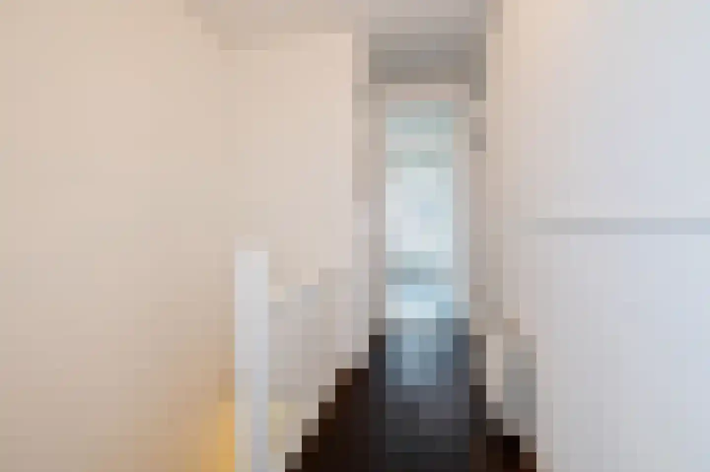 Jan Hendrikstraat 64 Den Haag thumbnail 5