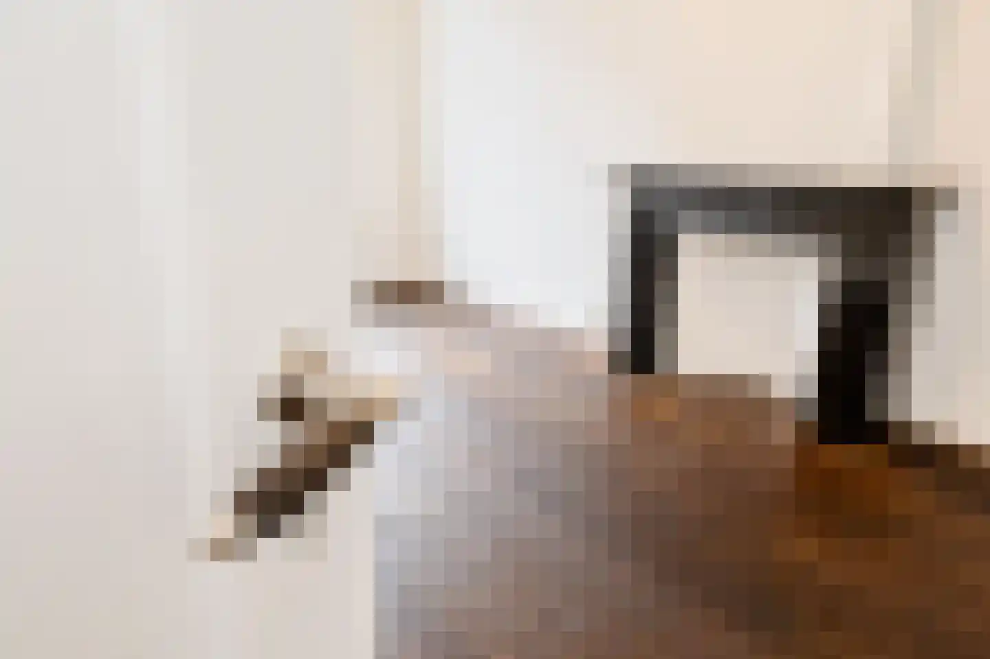 Jan Hendrikstraat 64 Den Haag thumbnail 6