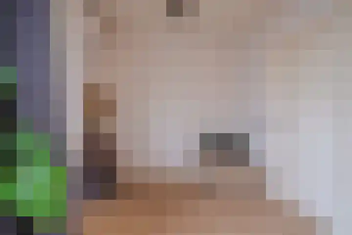 Jan Hendrikxstraat 15 Best thumbnail 10