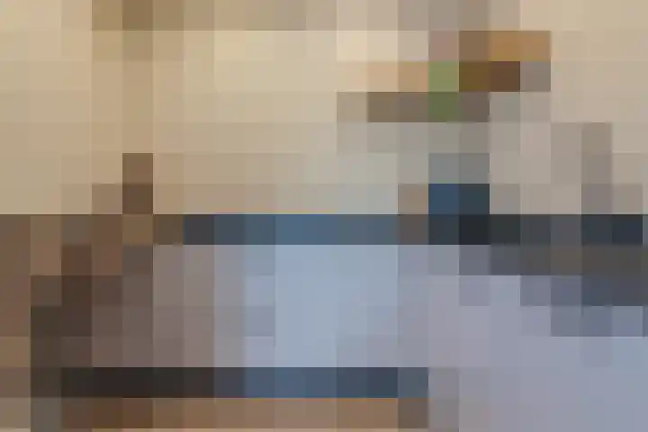 Jan Hendrikxstraat 15 Best thumbnail 12