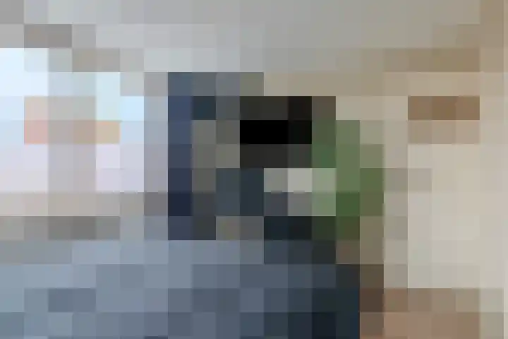Jan Hendrikxstraat 15 Best thumbnail 15