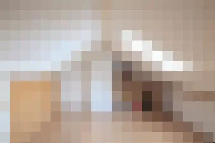 Jan Hendrikxstraat 15 Best thumbnail 20