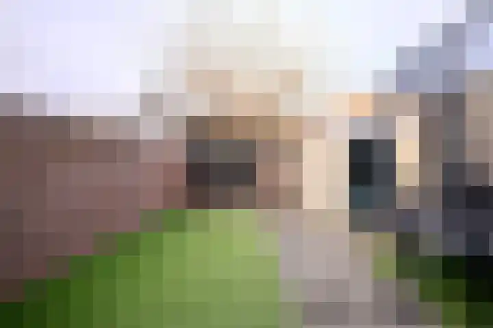 Jan Hendrikxstraat 15 Best thumbnail 23