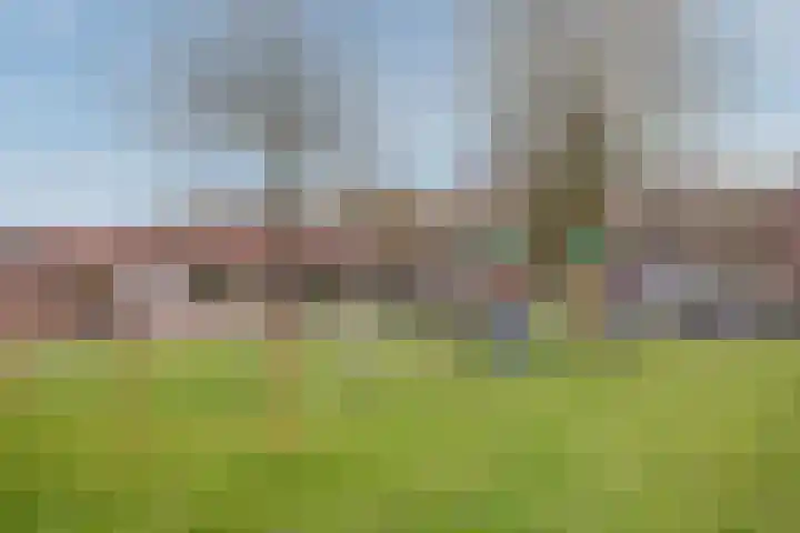 Jan Hendrikxstraat 15 Best thumbnail 29