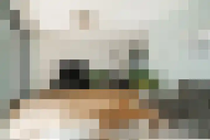 Jan Heurkensstraat 14 Geldrop thumbnail 11