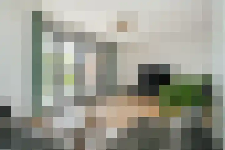Jan Heurkensstraat 14 Geldrop thumbnail 12