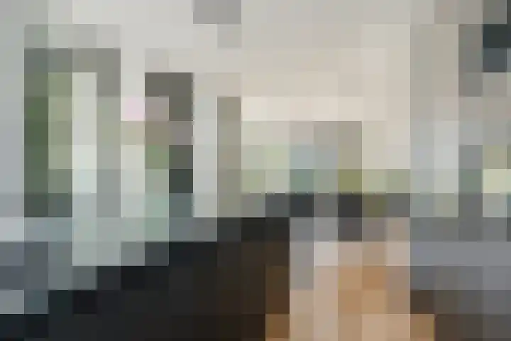 Jan Heurkensstraat 14 Geldrop thumbnail 15