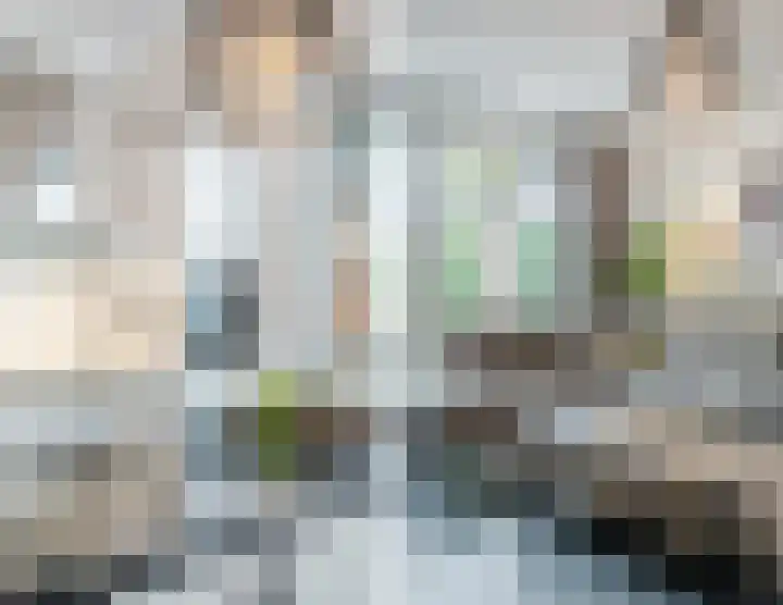 Jan Heurkensstraat 8 Geldrop thumbnail 15