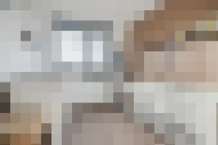 Jan Heurkensstraat 8 Geldrop thumbnail 19