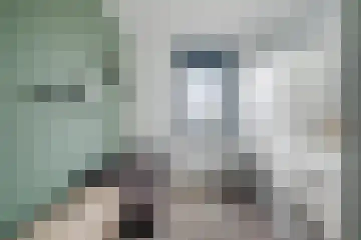 Jan Heurkensstraat 8 Geldrop thumbnail 21