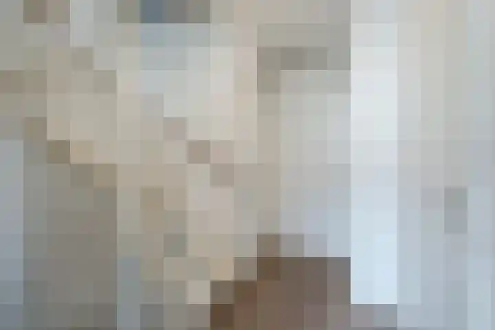 Jan Heurkensstraat 8 Geldrop thumbnail 25