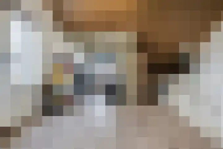 Jan Heurkensstraat 8 Geldrop thumbnail 26