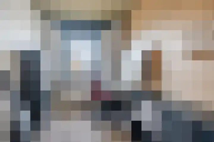 Jan Heurkensstraat 8 Geldrop thumbnail 27