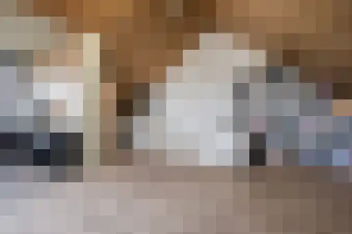 Jan Heurkensstraat 8 Geldrop thumbnail 29