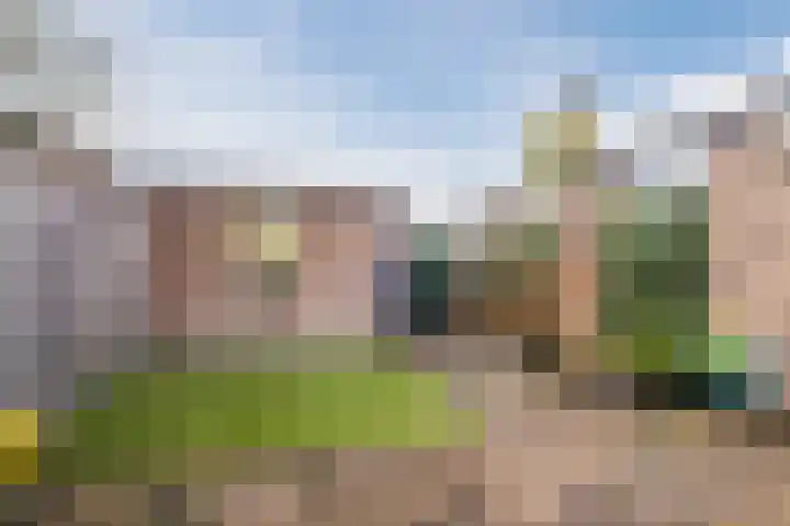 Jan Heurkensstraat 8 Geldrop thumbnail 31