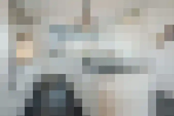 Jan Heurkensstraat 8 Geldrop thumbnail 4