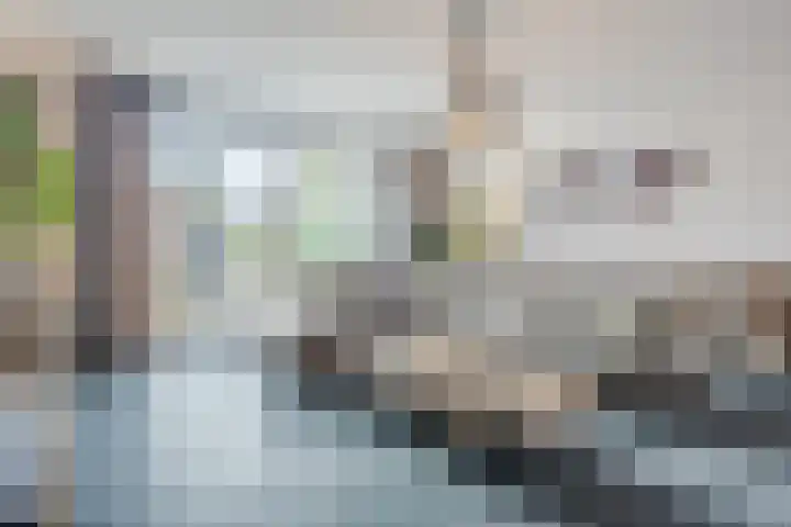 Jan Heurkensstraat 8 Geldrop thumbnail 7