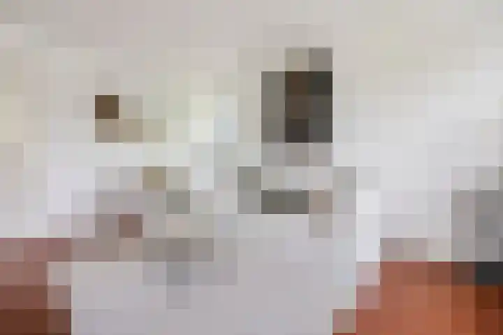Jan Heynslaan 153 A Eindhoven thumbnail 14