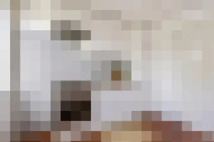Jan Heynslaan 153 A Eindhoven thumbnail 18