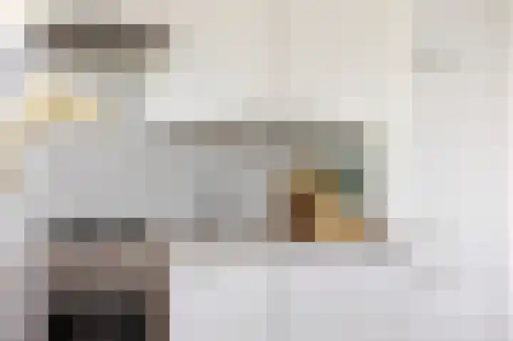 Jan Heynslaan 153 A Eindhoven thumbnail 19