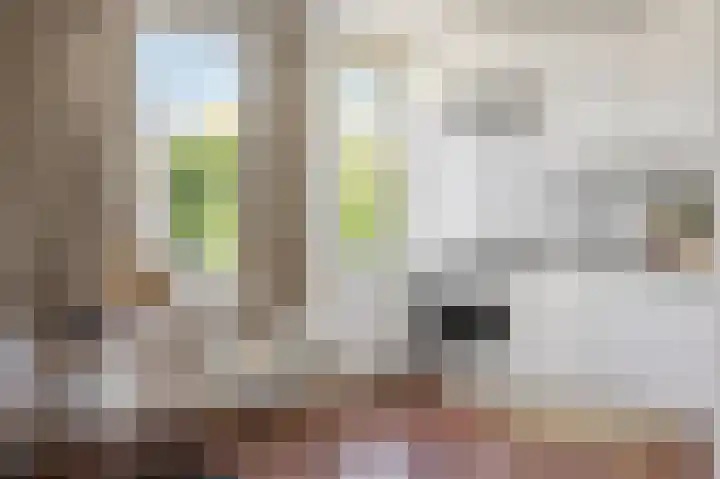Jan Heynslaan 153 A Eindhoven thumbnail 20