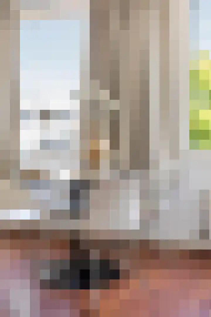Jan Heynslaan 153 A Eindhoven thumbnail 21