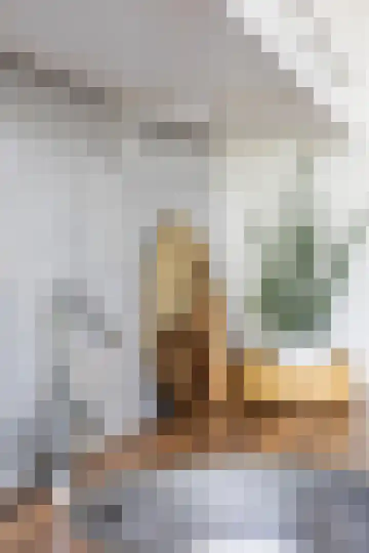 Jan Heynslaan 153 A Eindhoven thumbnail 22