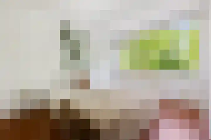 Jan Heynslaan 153 A Eindhoven thumbnail 23