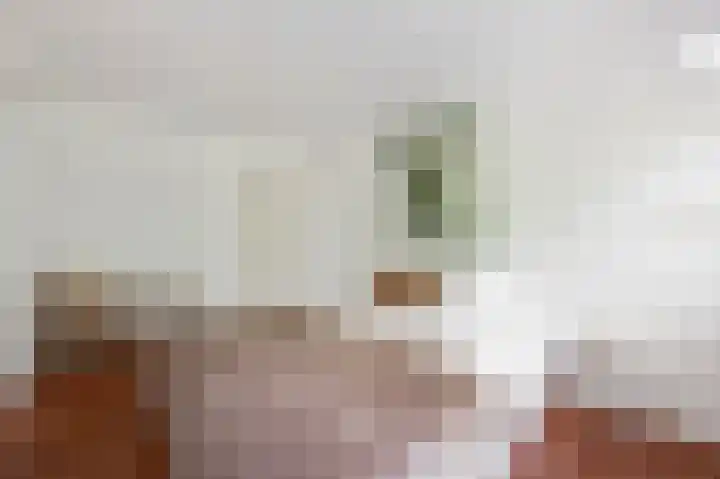 Jan Heynslaan 153 A Eindhoven thumbnail 24