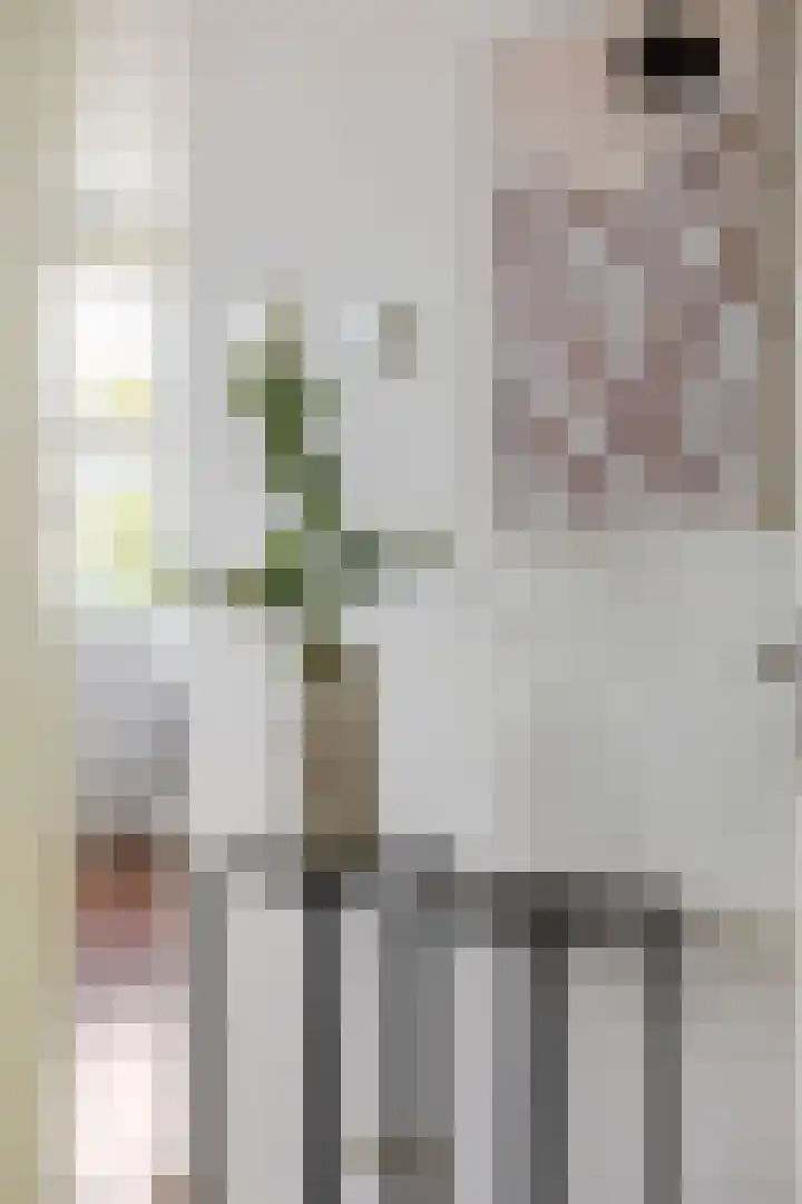 Jan Heynslaan 153 A Eindhoven thumbnail 25