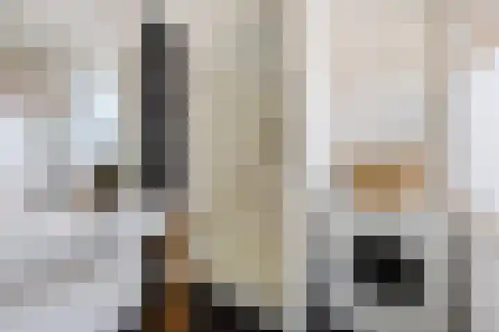 Jan Heynslaan 153 A Eindhoven thumbnail 27