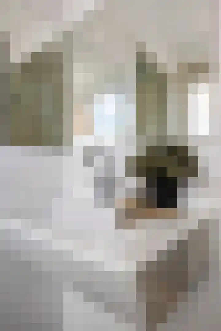 Jan Heynslaan 153 A Eindhoven thumbnail 28