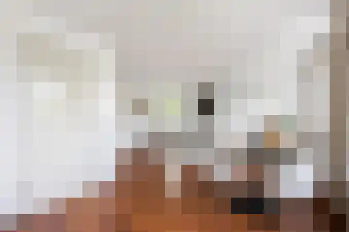 Jan Heynslaan 153 A Eindhoven thumbnail 9