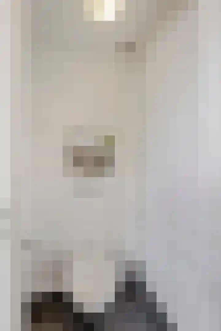 Jan Heynslaan 153 Eindhoven thumbnail 12