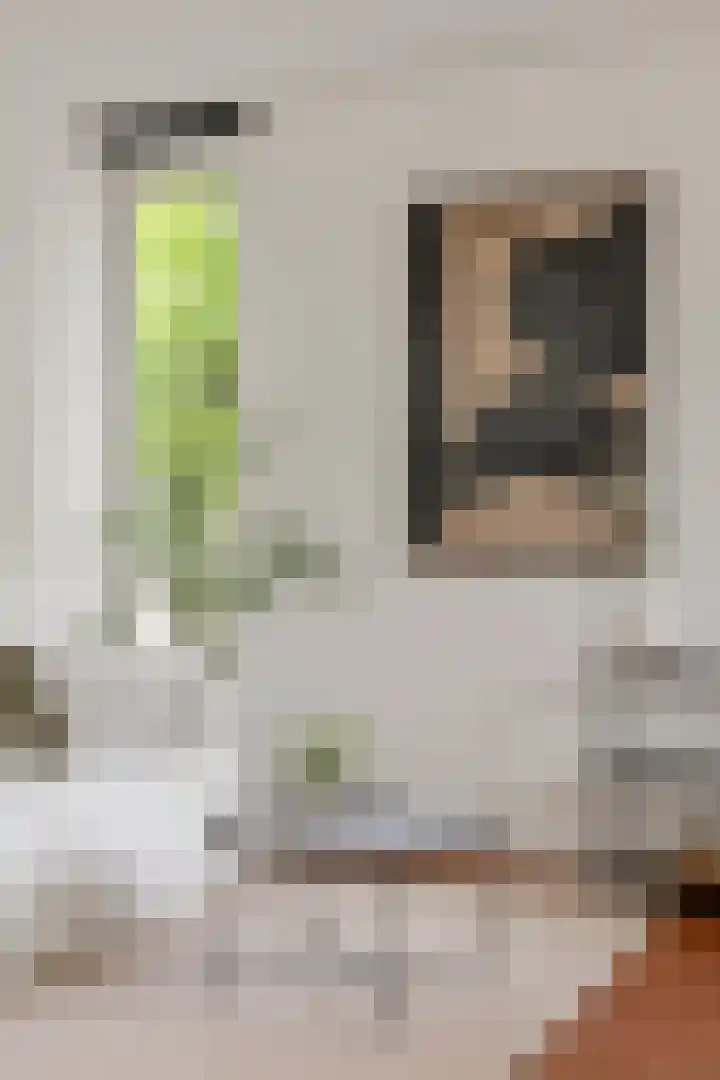 Jan Heynslaan 153 Eindhoven thumbnail 14