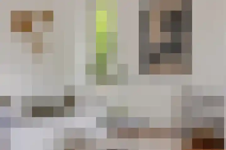 Jan Heynslaan 153 Eindhoven thumbnail 15