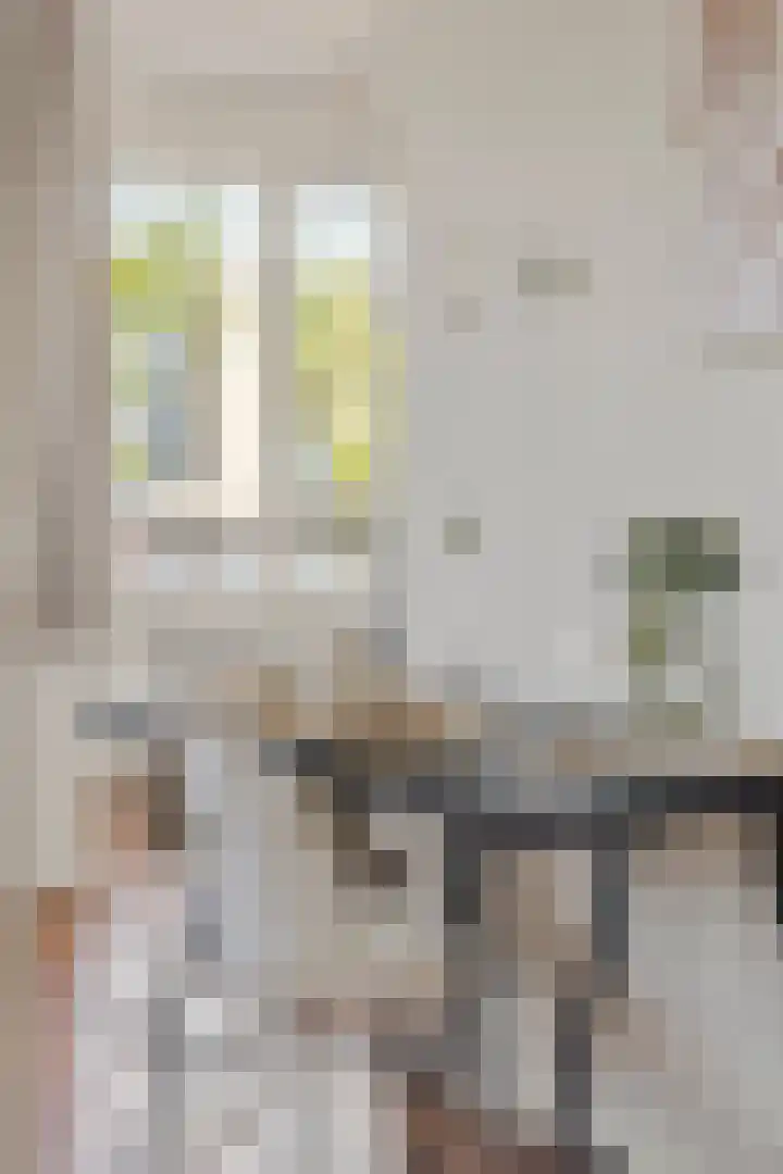 Jan Heynslaan 153 Eindhoven thumbnail 18
