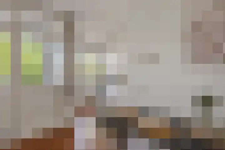 Jan Heynslaan 153 Eindhoven thumbnail 19