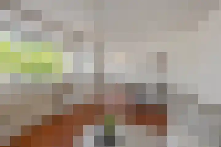 Jan Heynslaan 153 Eindhoven thumbnail 20