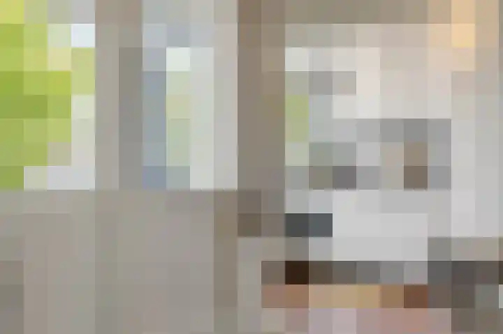 Jan Heynslaan 153 Eindhoven thumbnail 21
