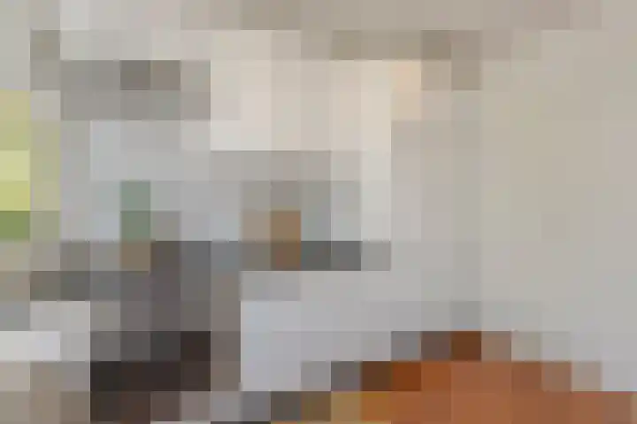 Jan Heynslaan 153 Eindhoven thumbnail 23