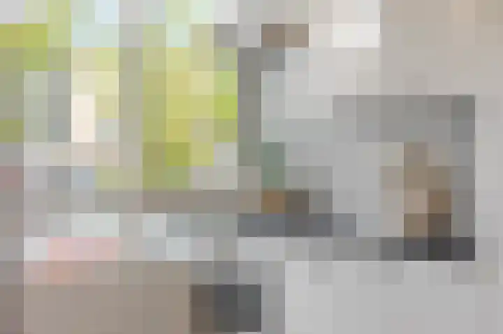 Jan Heynslaan 153 Eindhoven thumbnail 25