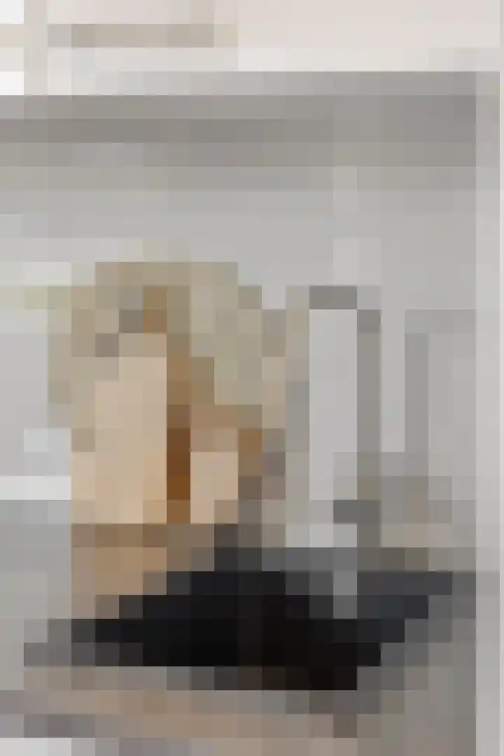 Jan Heynslaan 153 Eindhoven thumbnail 26