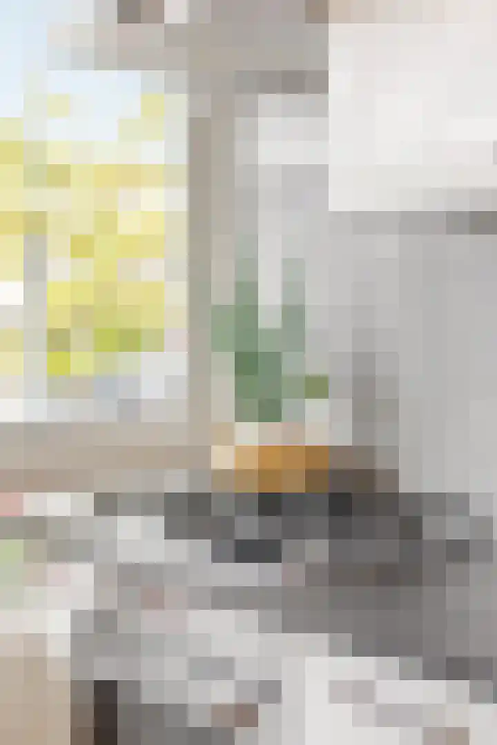 Jan Heynslaan 153 Eindhoven thumbnail 27