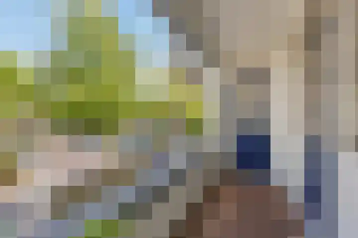 Jan Heynslaan 153 Eindhoven thumbnail 32