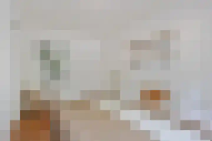 Jan Heynslaan 153 Eindhoven thumbnail 36