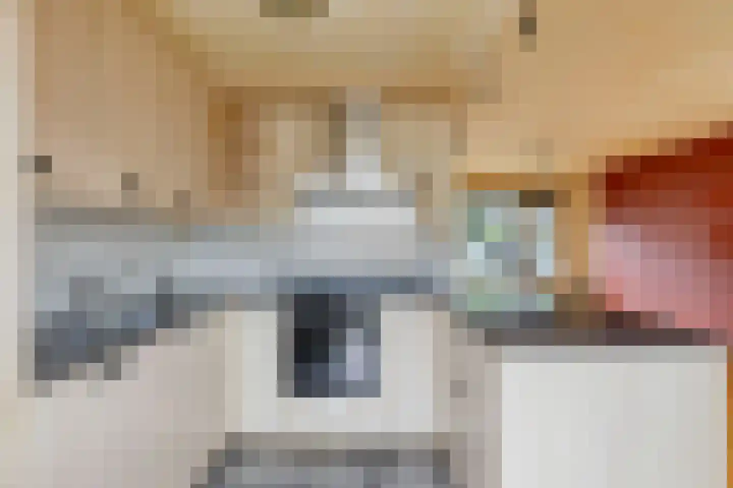 Jan Heynslaan 26 Eindhoven thumbnail 12