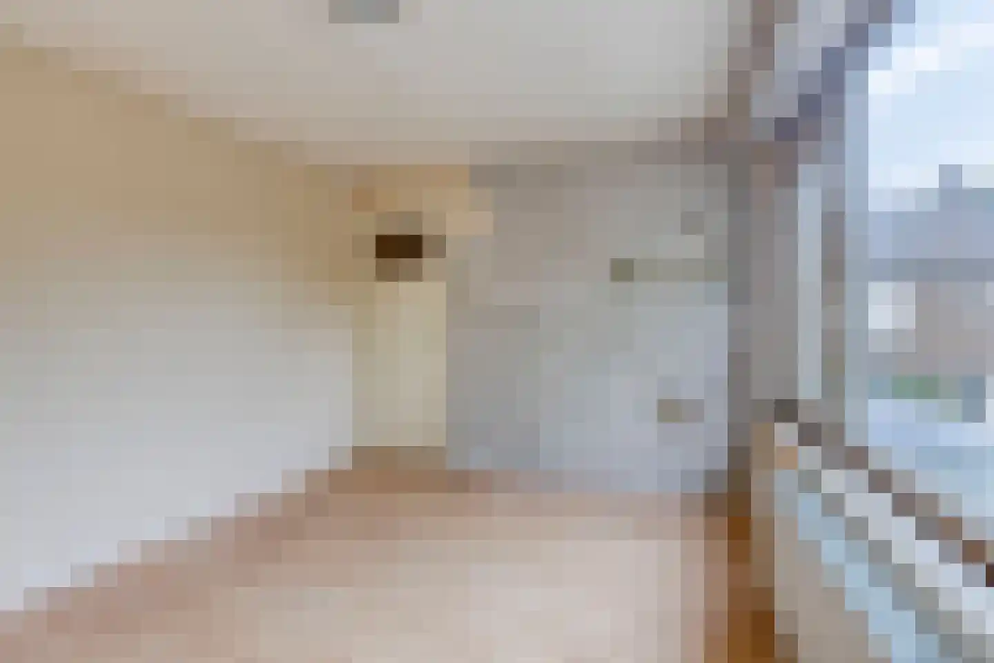 Jan Heynslaan 26 Eindhoven thumbnail 28